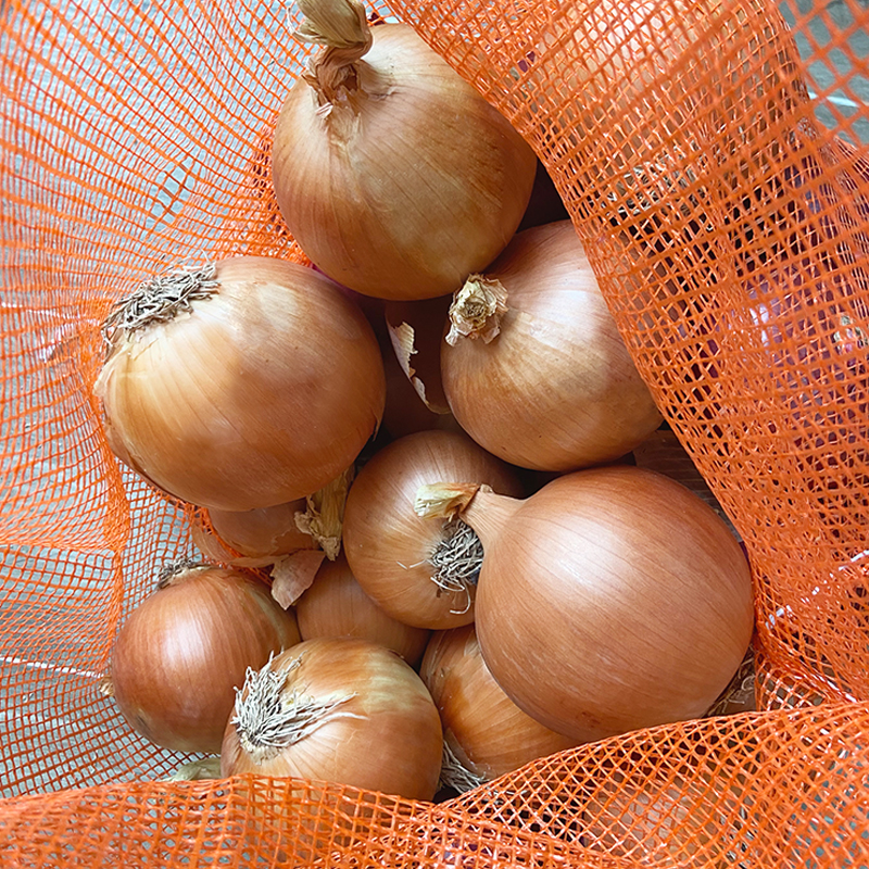 bolsa de malla de cebolla