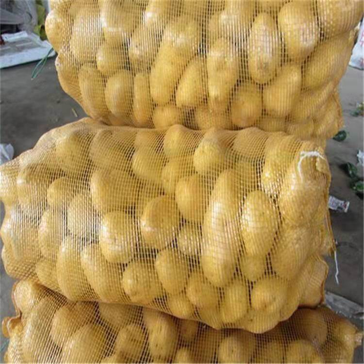 potato mesh bags