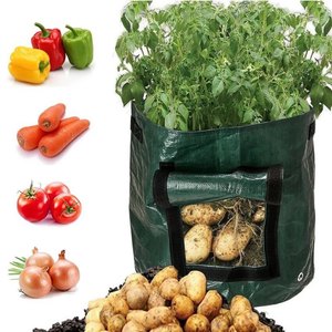 bolsa de cultivo de patatas