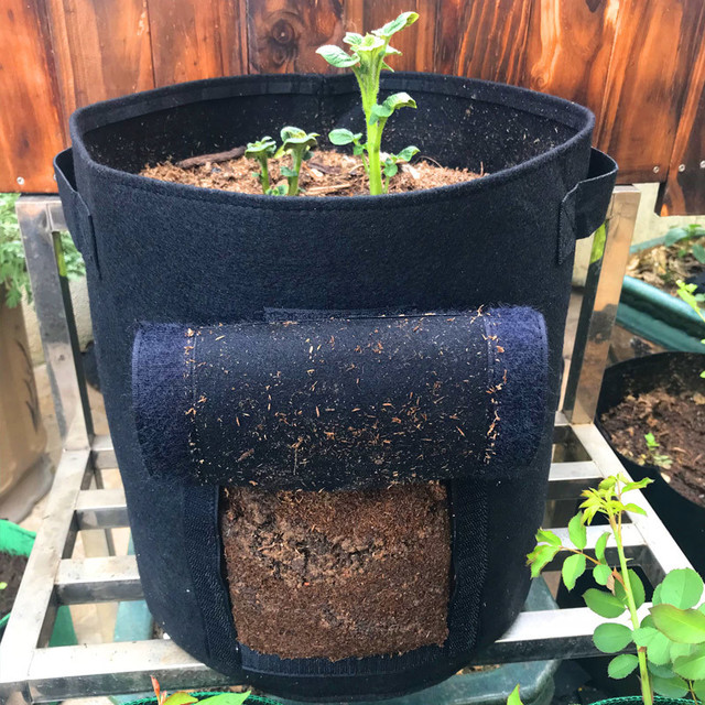 bolsa de cultivo de patatas